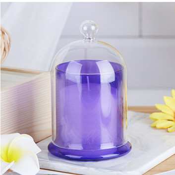 Non Toxic Empty Reed Diffuser Bottles